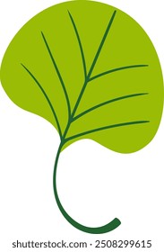 Leaf Salad Greens Vector Illustration