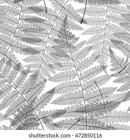 Leaf seamless pattern. Abstract skeleton background. Fern black and white autumn leaves textured. Textile design. Vector illustration. 