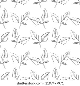 leaf seamless pattern isolated on white background