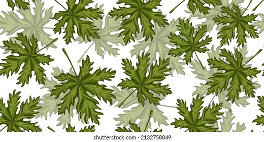 Leaf seamless pattern on white background. Retro tropical plants in engraving style. Hand drawn summer texture for fabric, wallpaper, textile, print, wrapping paper. Vector illustration.
