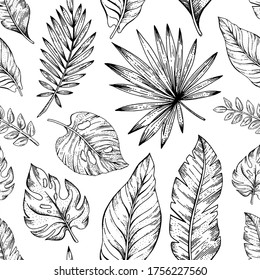 Leaf Seamless pattern. Palm leaves background. Vector floral texture. Black and white tropic plants. Natural line art. Jungle wallpaper illustration. Exotic summer print  with tropical foliage 