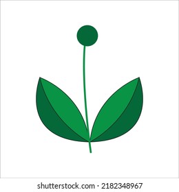 leaf with seed icon design web