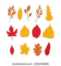 leaf set autum season design illustration 