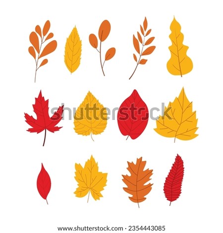leaf set autum season design illustration 
