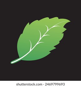 leaf, set, design, plant, collection, fresh, foliage, food, green, organic, herb, vector, vegetarian, isolated, icon, natural, element, branch, sign, symbol, culinary, flying, healthy, background, clo