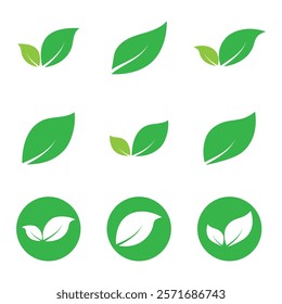 Leaf set graphic design logo template