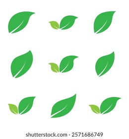 Leaf set graphic design logo template