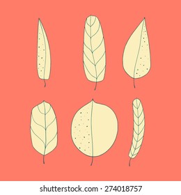 Leaf set. Hand drawn floral illustration