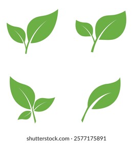 Leaf Set Logo Icon Graphic Background Template