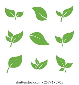 Leaf Set Logo Icon Graphic Background Template