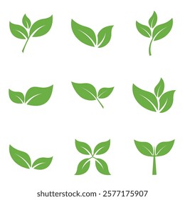 Leaf Set Logo Icon Graphic Background Template