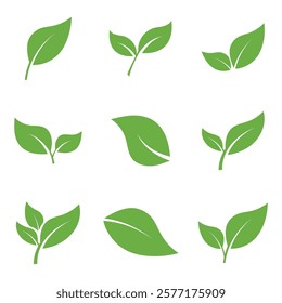 Leaf Set Logo Icon Graphic Background Template