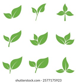 Leaf Set Logo Icon Graphic Background Template