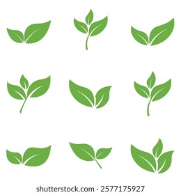Leaf Set Logo Icon Graphic Background Template