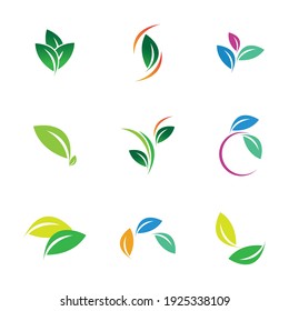 Leaf set Logo Vector illustration design template - Vector