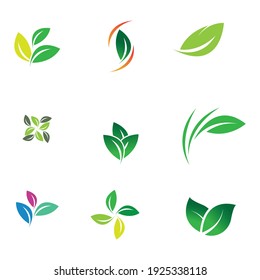 Leaf set Logo Vector illustration design template - Vector