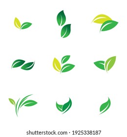 Leaf set Logo Vector illustration design template - Vector