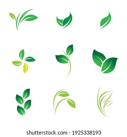 Leaf set Logo Vector illustration design template - Vector