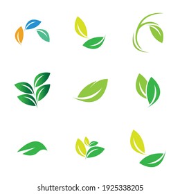 Leaf set Logo Vector illustration design template - Vector