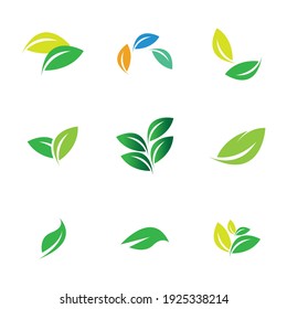 Leaf set Logo Vector illustration design template - Vector