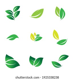 Leaf set Logo Vector illustration design template - Vector