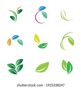 Leaf set Logo Vector illustration design template - Vector