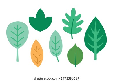 Leaf set, minimal flat illustration on white background.