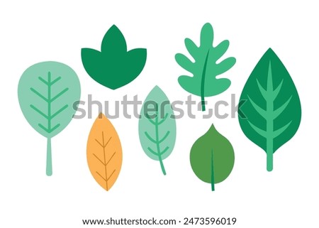 Leaf set, minimal flat illustration on white background.