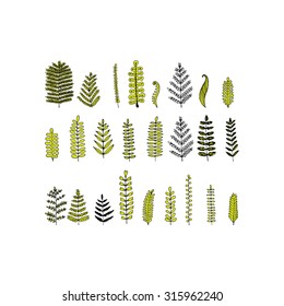 Leaf set, sketch for your design. Vector illustration