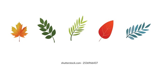 leaf set for Thanksgiving on white isolated vector illustration