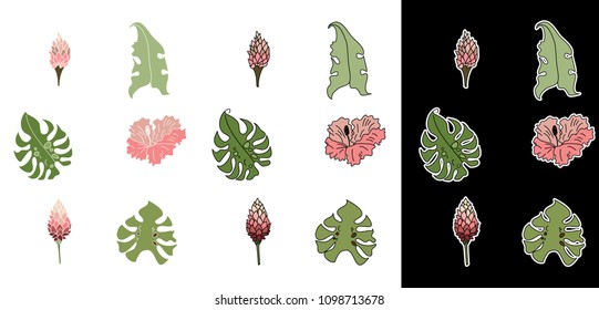 Leaf set vector with Hibiscus flower black and white background.