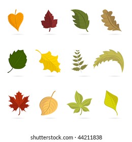 Leaf Set Vector Illustration.