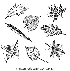Leaf set vector illustration