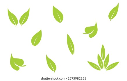 
Leaf set vector illustration for use.