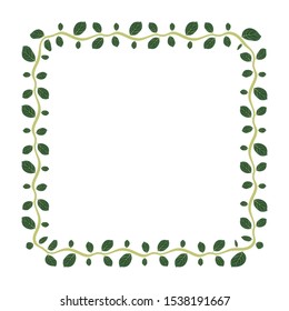 leaf shape floral border, green leaf theme frame, border information board with isolated white background.