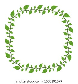 leaf shape floral border, green leaf theme frame, border information board with isolated white background.