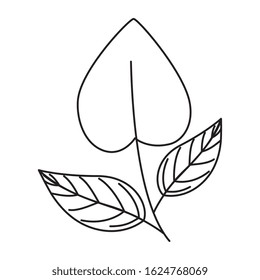 leaf in shape heart isolated icon vector illustration design
