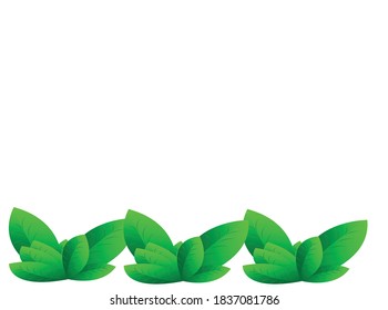 Leaf shape illustration Isolated from white background