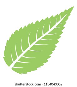 
Leaf shaped like a cone with bladed edges and veins structure spread overall, sour cherry leaf icon
