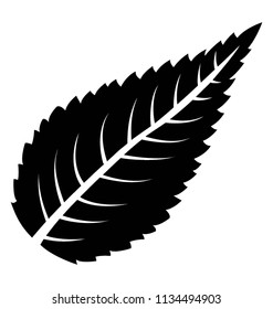 
Leaf shaped like a cone with bladed edges and veins structure spread overall, sour cherry leaf icon
