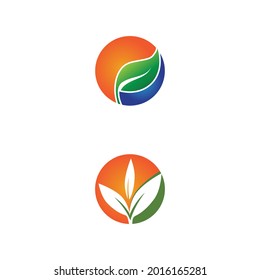 Apertura de lentes de hoja y obturador para la naturaleza Inspiración en el diseño del logo del fotógrafo