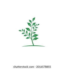 Apertura de lentes de hoja y obturador para la naturaleza Inspiración en el diseño del logo del fotógrafo