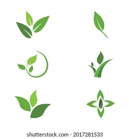 Apertura de lentes de hoja y obturador para la naturaleza Inspiración en el diseño del logo del fotógrafo