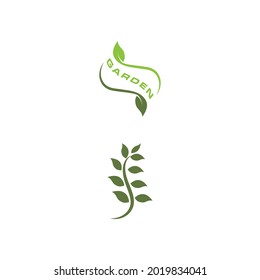 Apertura de lentes de hoja y obturador para la naturaleza Inspiración en el diseño del logo del fotógrafo