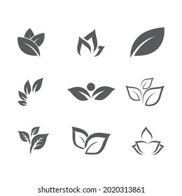 Leaf and Shutter Lens Aperture for Nature Photographer logo design inspiration - Shutterstock ID 2020313861
