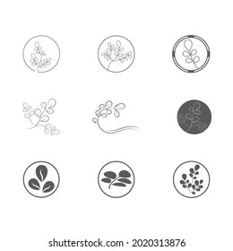Apertura de lentes de hoja y obturador para la naturaleza Inspiración en el diseño del logo del fotógrafo
