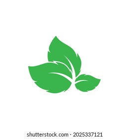 Leaf and Shutter Lens Aperture for Nature Photographer logo design inspiration