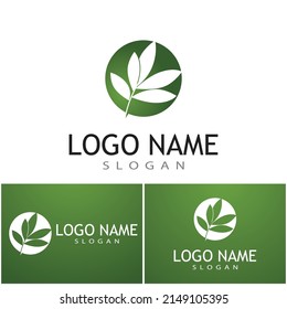 Leaf and Shutter Lens Aperture for Nature Photographer logo design inspiration