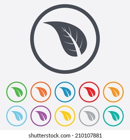 Leaf sign icon. Fresh natural product symbol. Round circle buttons with frame. Vector