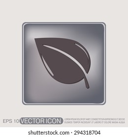leaf sign. nature icon